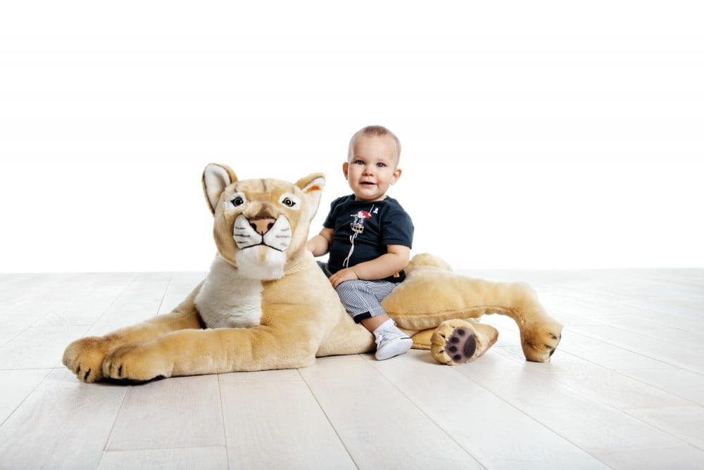 steiff studio animals