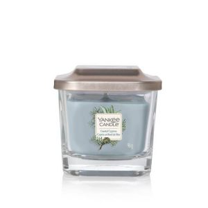 Yankee Candle Elevation Collection – Coastal Cypress - Small 1-Wick Square Candle