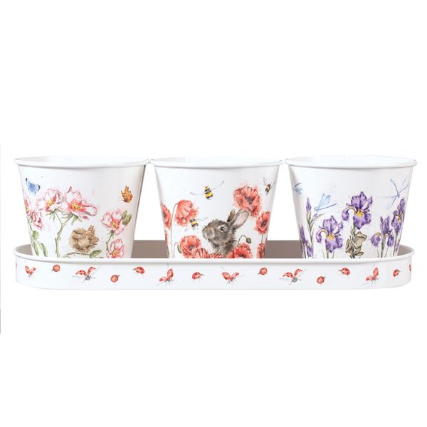 Floral Herb Pots and Tray - Wrendale Designs