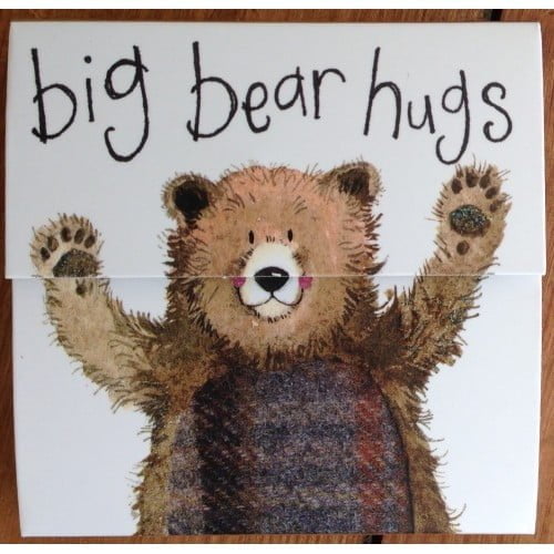 Big Bear Hugs Mini Magnetic Notepad - Alex Clark Art