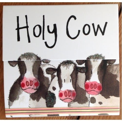 Holy Cow Magnetic Notepad - Alex Clark Art