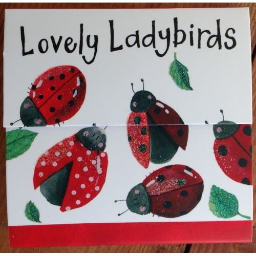 Lovely Ladybirds Magnetic Notepad - Alex Clark Art