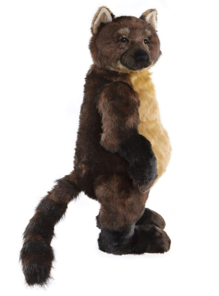 Limited Edition Footsteps Ringtailed Mongoose, 76cm - Charlie Bears Plush - Image 2