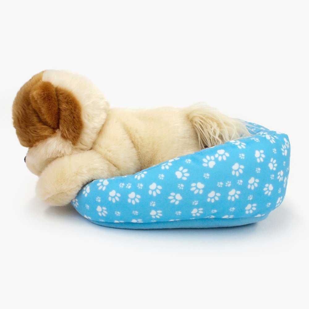 Boo Dog In Bed - Boo The World's Cutest Dog - Image 2