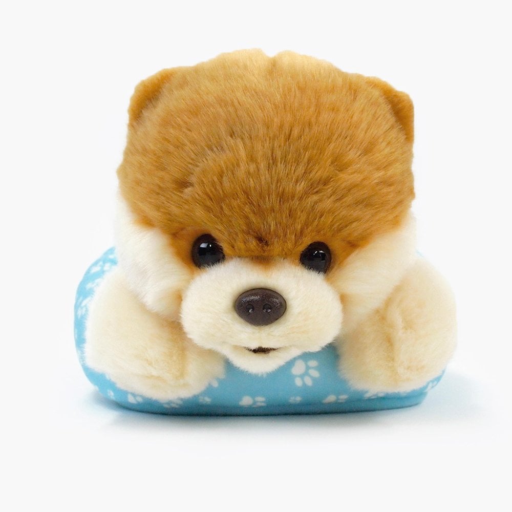 Boo Dog In Bed - Boo The World's Cutest Dog - Image 4