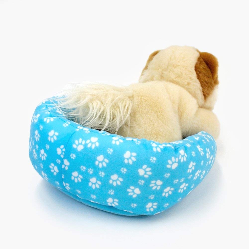 Boo Dog In Bed - Boo The World's Cutest Dog - Image 3