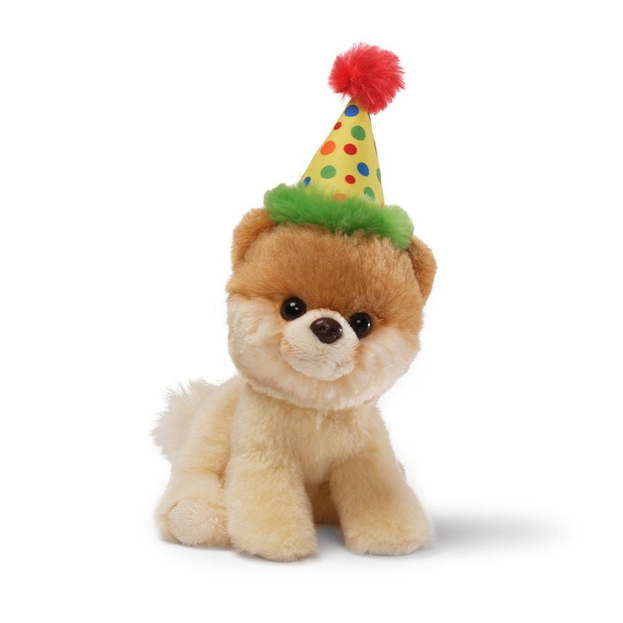 Itty Bitty Boo Birthday Hat - Boo The Worlds Cutest Dog