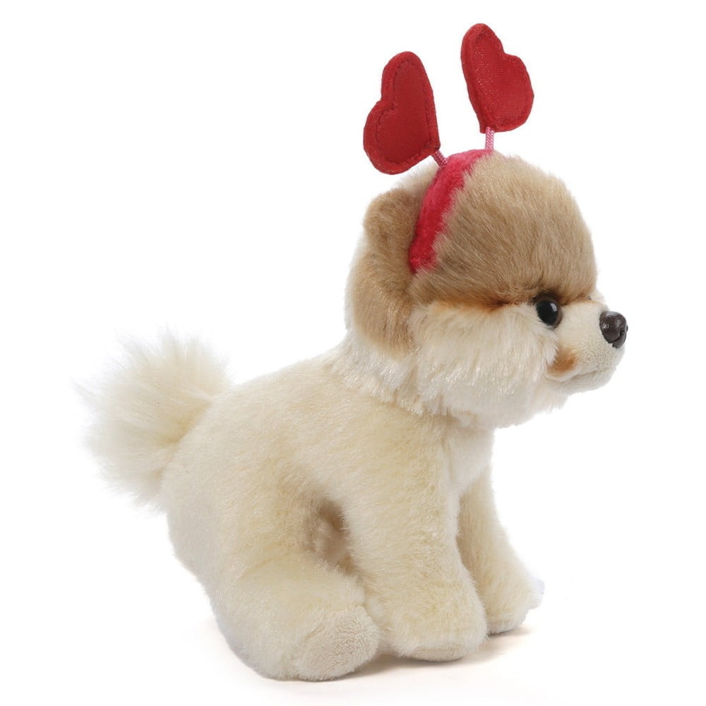 Itty Bitty Boo Valentine - Boo The Worlds Cutest Dog - Image 2