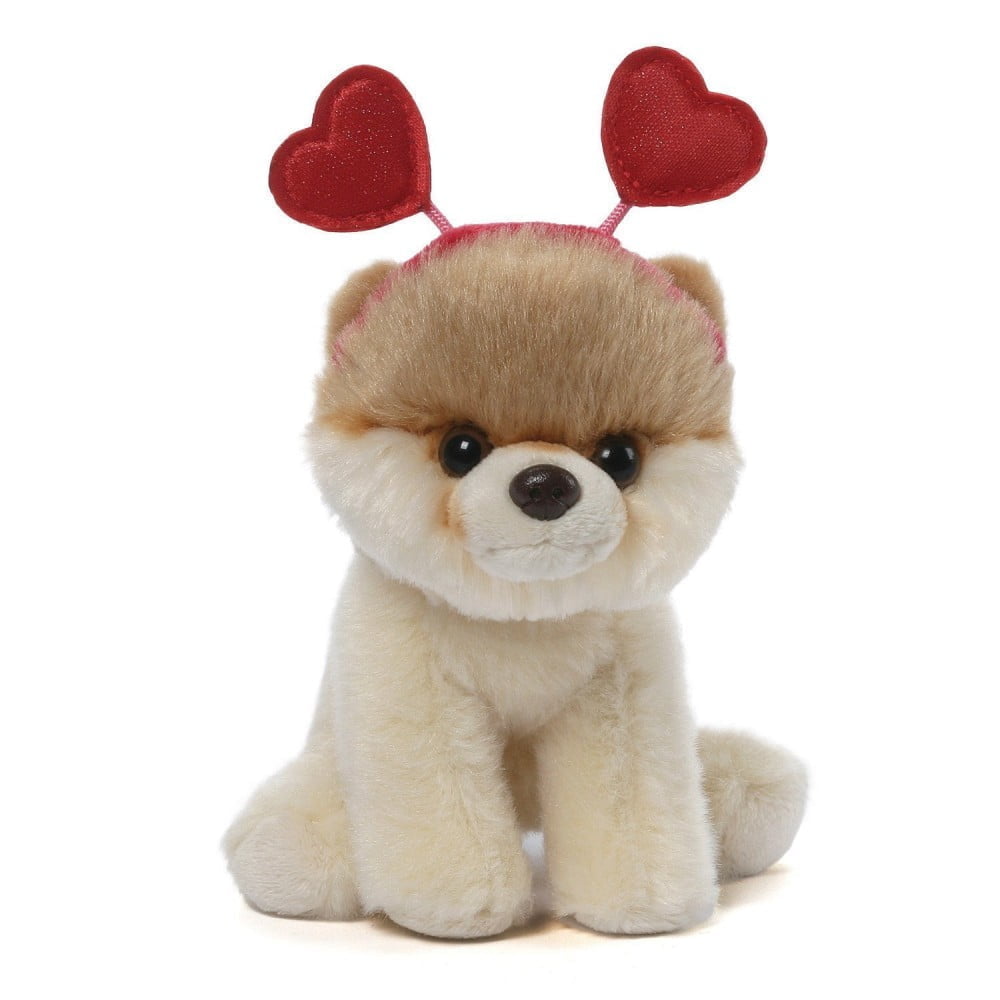 Itty Bitty Boo Valentine - Boo The Worlds Cutest Dog