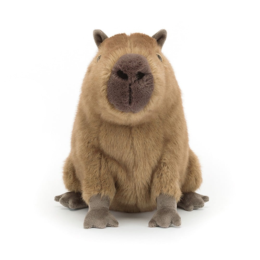 Jellycat Clyde Capybara - 21x24cm - Image 3