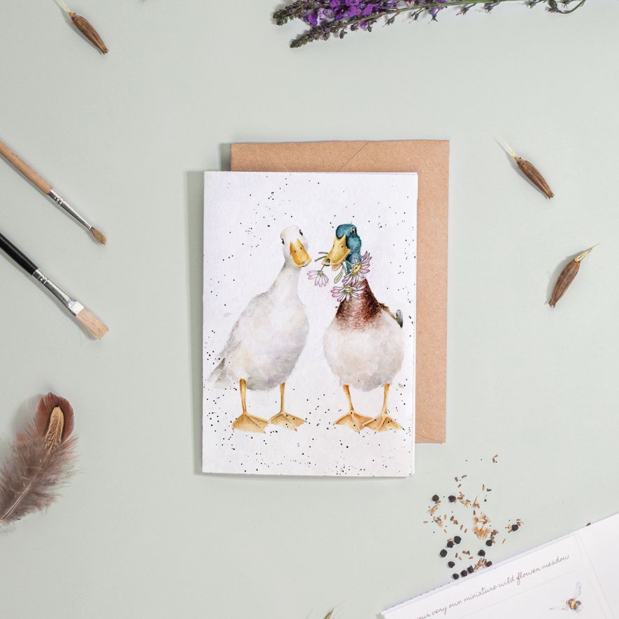 ‘Not a Daisy Goes By‘ Duck Seed Card - Wrendale Designs - Image 2