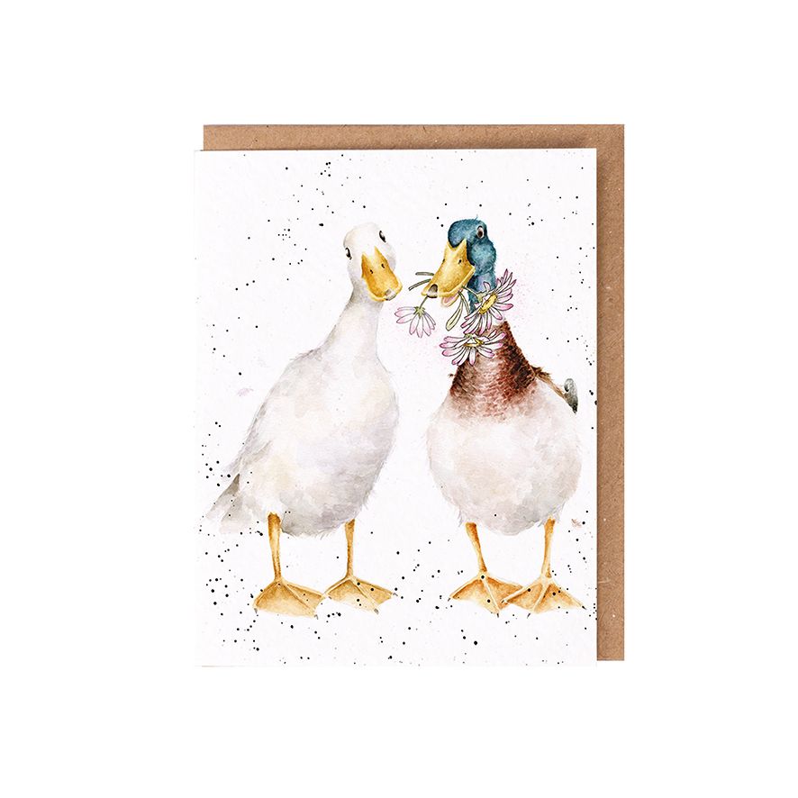 ‘Not a Daisy Goes By‘ Duck Seed Card - Wrendale Designs