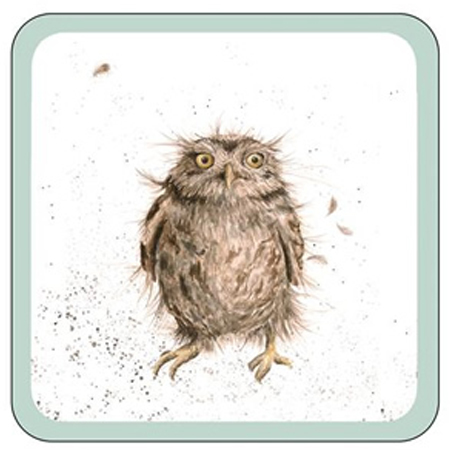 Wrendale Designs - Owl Coaster