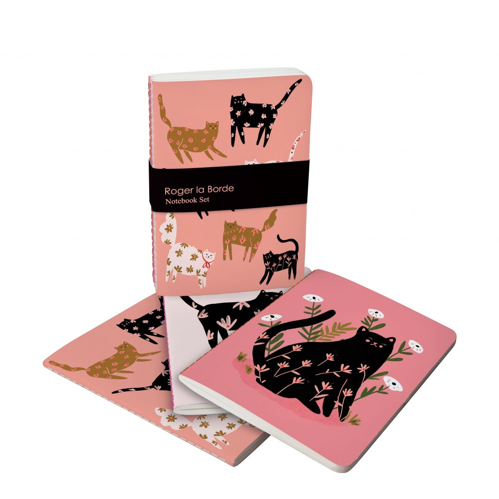 Cinnamon and Ginger Cat Exercise Books Bundle Set of 3 - Roger La Borde