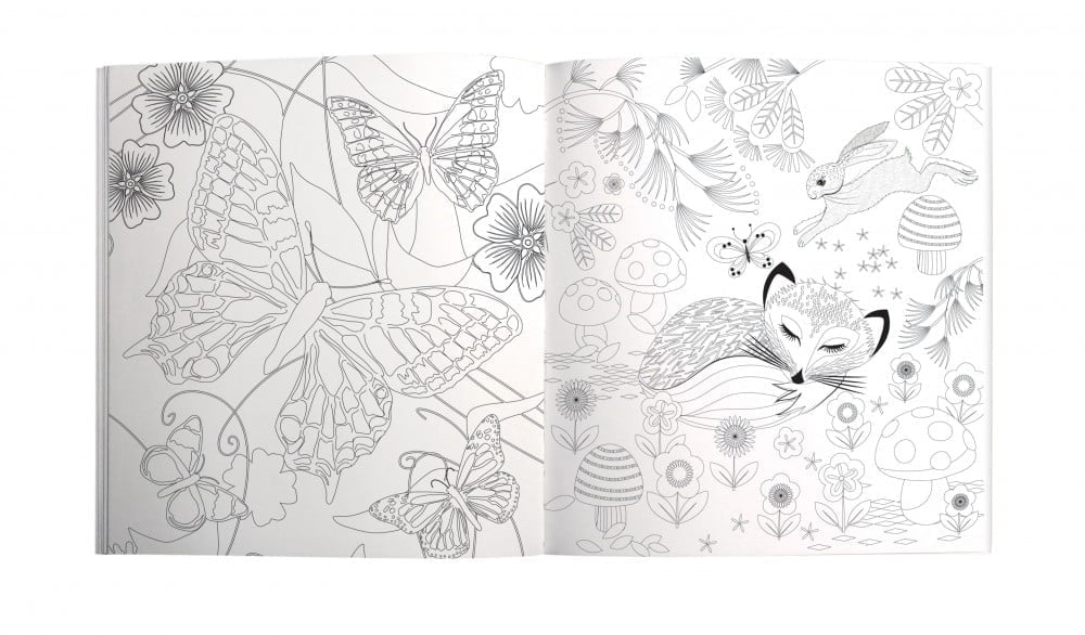 Into The Wild Colouring Book - Roger La Borde - Image 2