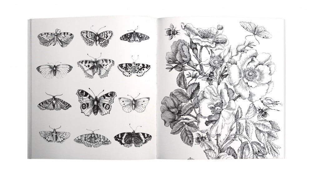 Vintage Illustrations Colouring Book - Roger La Borde - Image 2