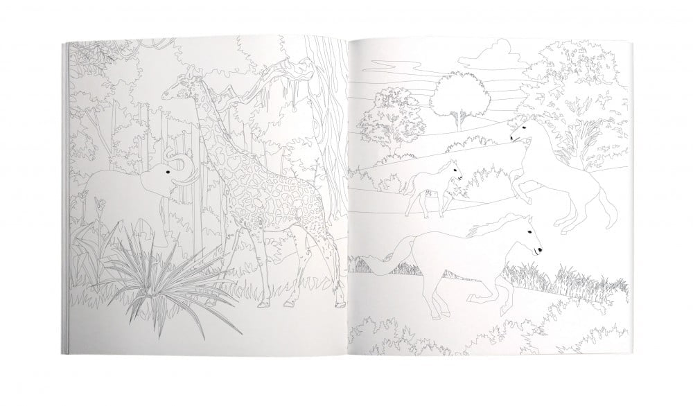 Call of the Wild Tropical Colouring Book - Roger La Borde - Image 2