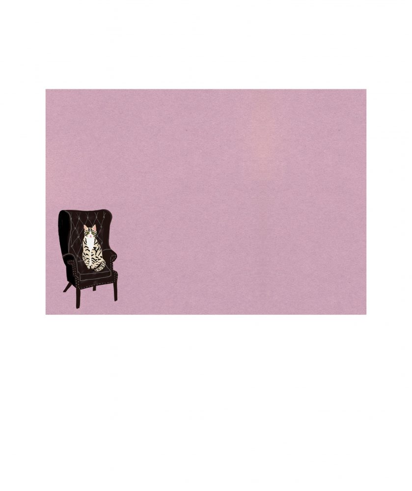 Cat Palais Letter Writing Set - Roger La Borde - Image 4