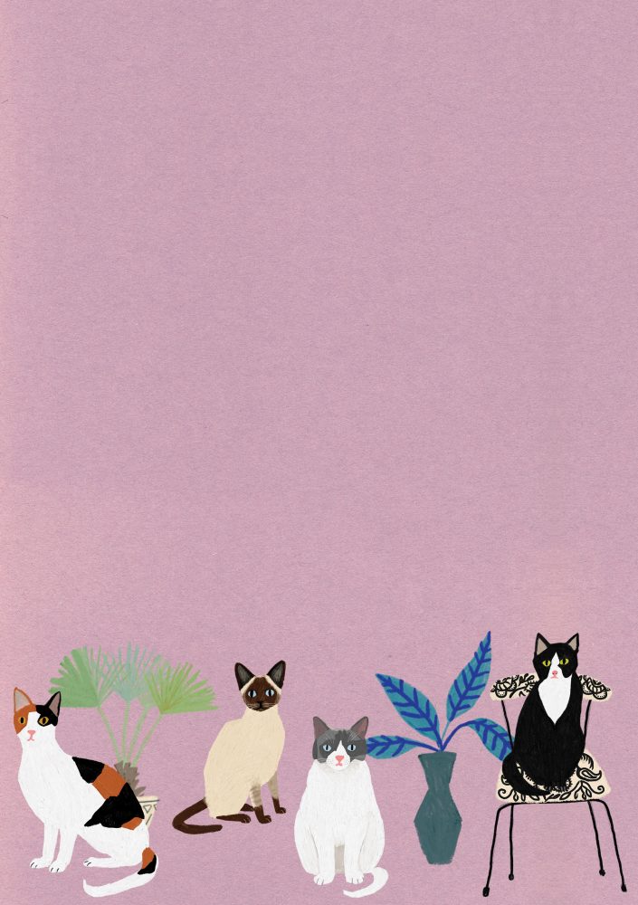 Cat Palais Letter Writing Set - Roger La Borde - Image 3