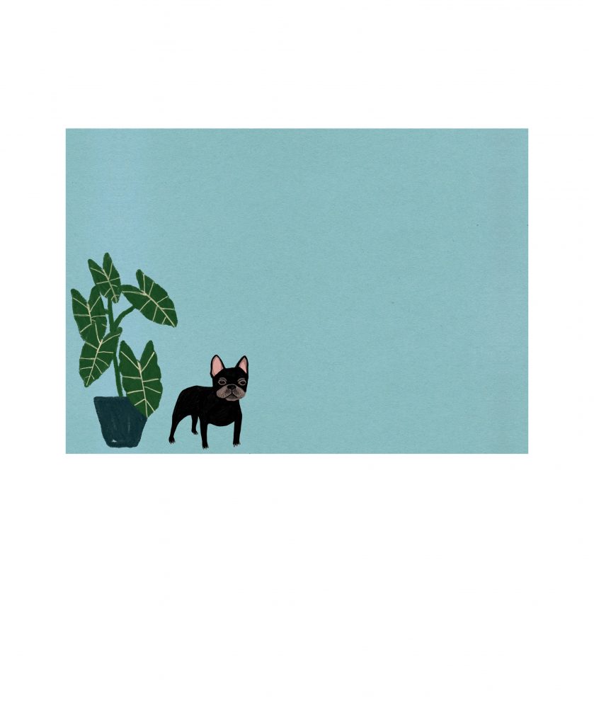 Dog Palais Letter Writing Set - Roger La Borde - Image 4
