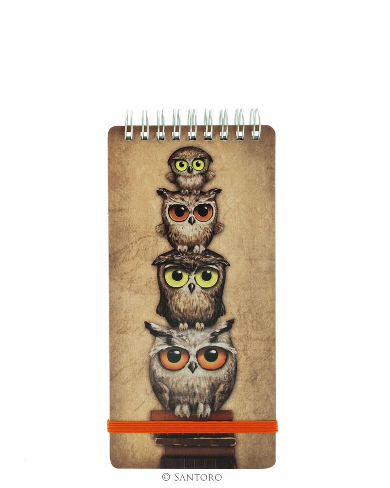 Book Owls Owl Long Notepad - Santoro