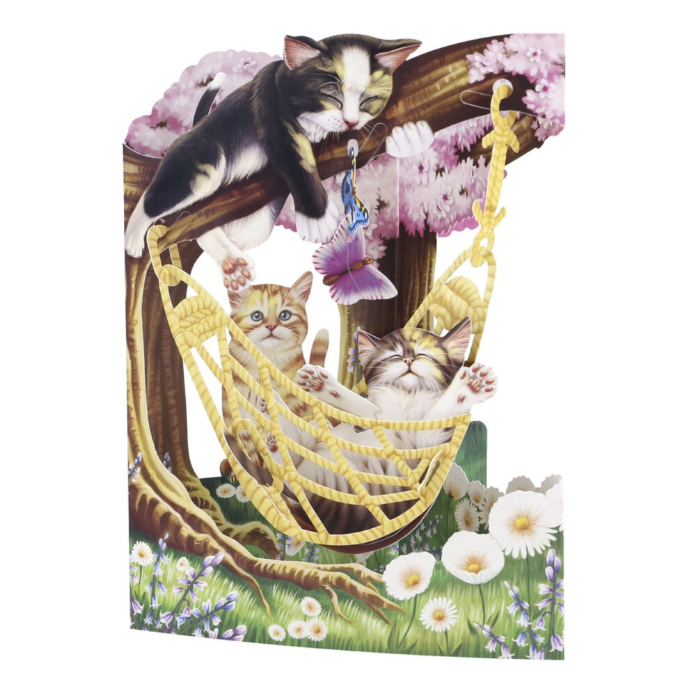 Santoro Cats In A Hammock 3D Pop-Up Swing Card - Greetings and Birthday Card