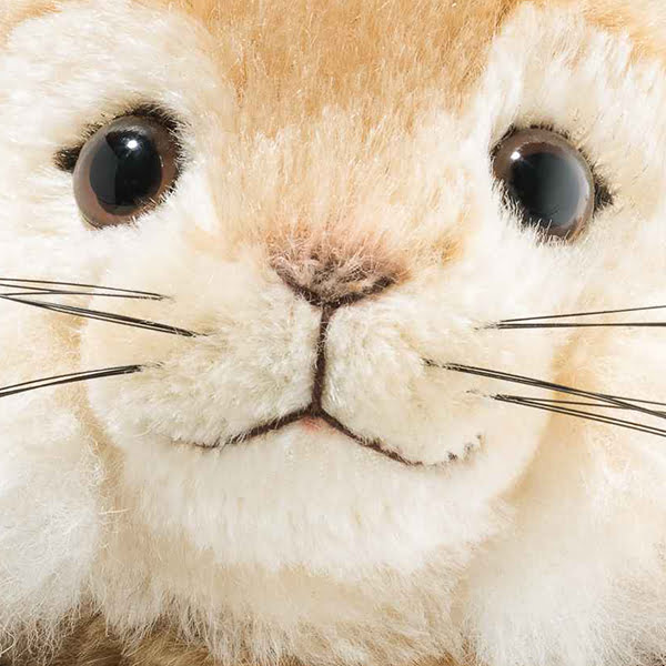 Steiff Benjamin Bunny Limited Edition - EAN 355226 - Image 3
