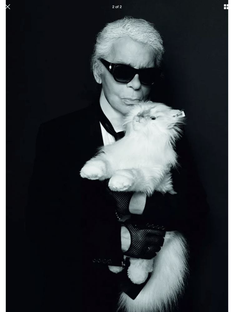 Choupette Cat by Karl Lagerfeld - Steiff Limited Edition EAN 356001 - Image 7