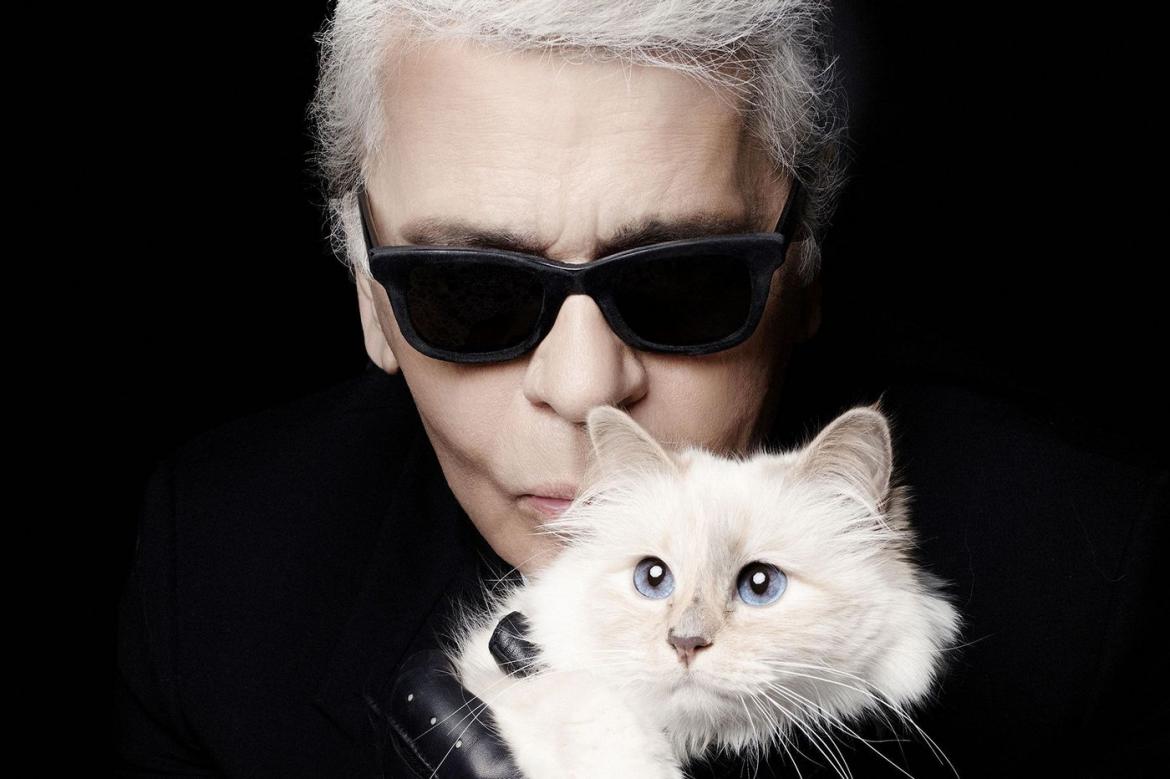 Choupette Cat by Karl Lagerfeld - Steiff Limited Edition EAN 356001 - Image 6