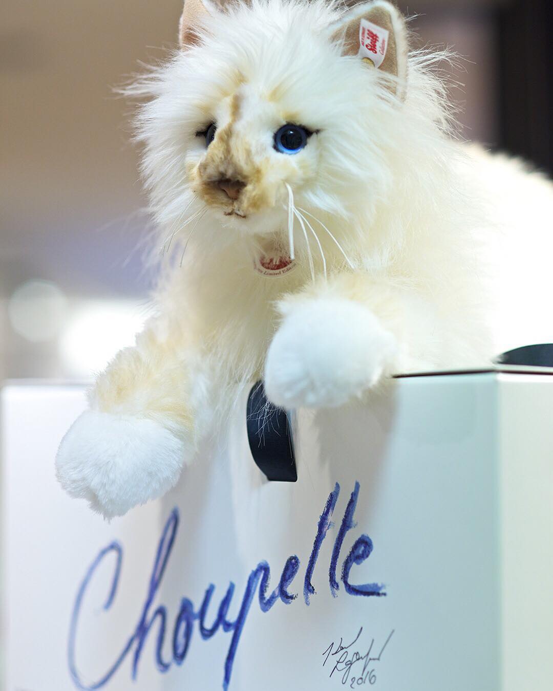 Choupette Cat by Karl Lagerfeld - Steiff Limited Edition EAN 356001 - Image 8