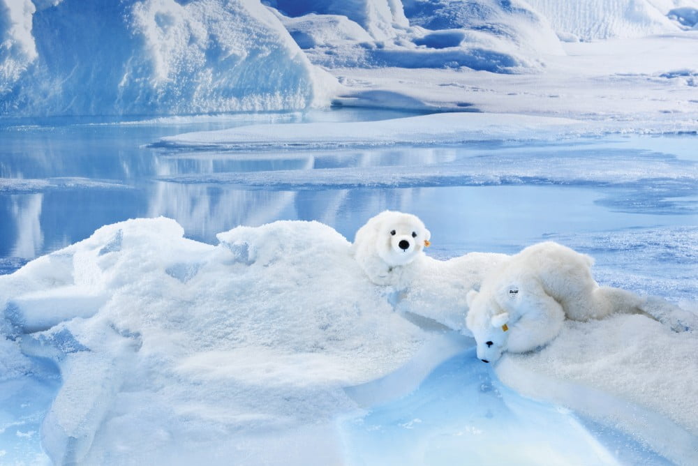 Arco Polar Bear - Steiff EAN 115110 - Image 2