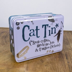 Cat Tin - The Bright Side