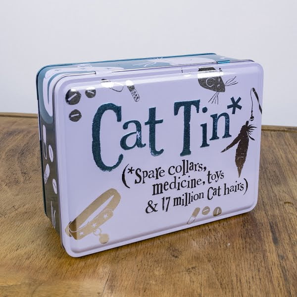 Cat Tin - The Bright Side