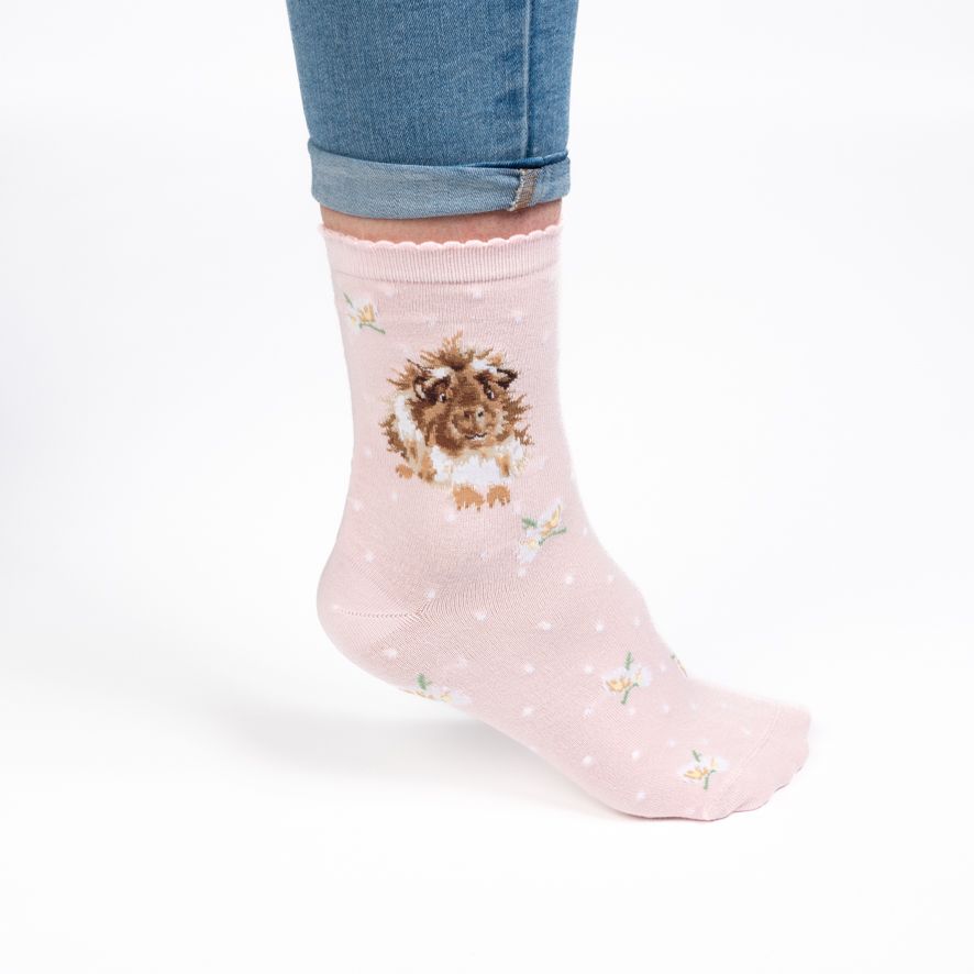 'Grinny Pig’ Guinea Pig Socks - Wrendale Designs - Image 2