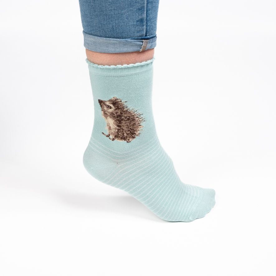 'Hedgehugs’ Hedgehog Socks - Wrendale Designs - Image 2