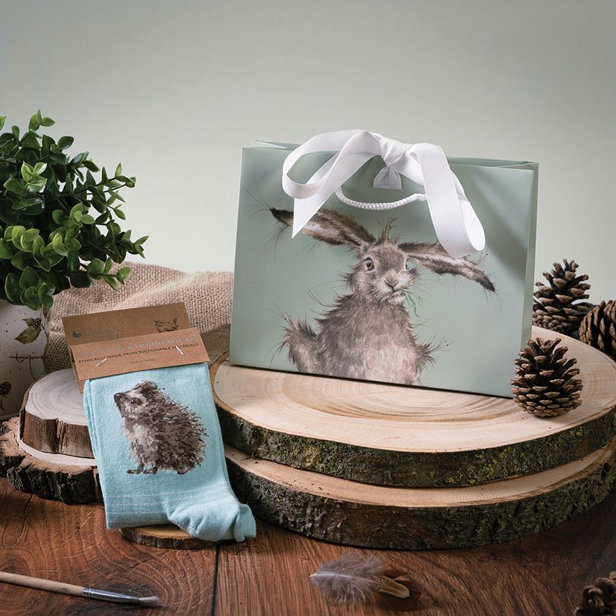 'Hedgehugs’ Hedgehog Socks - Wrendale Designs - Image 3