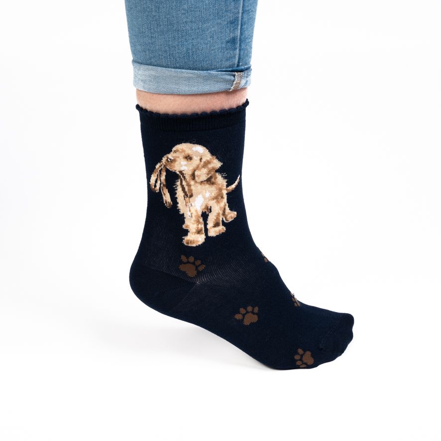 'Hopeful' Labrador Socks - Wrendale Designs - Image 2