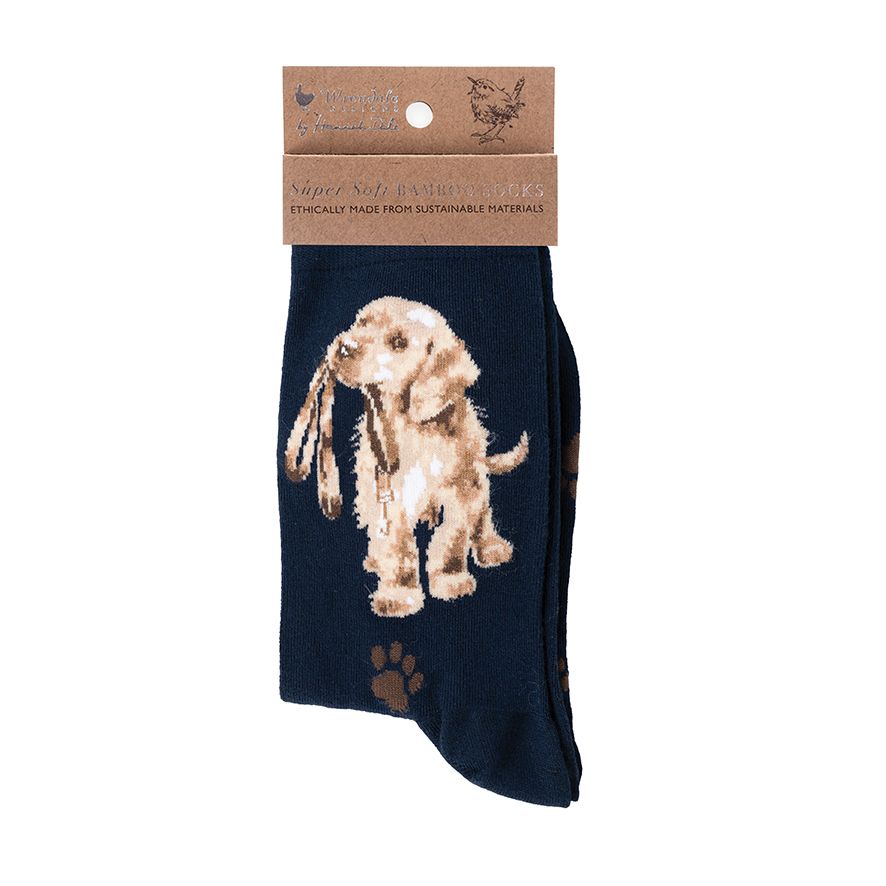 'Hopeful' Labrador Socks - Wrendale Designs