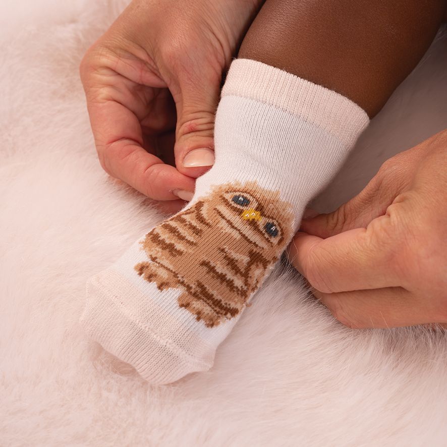 'Little Forest' Woodland Animal Baby Socks - Wrendale Designs - Image 3