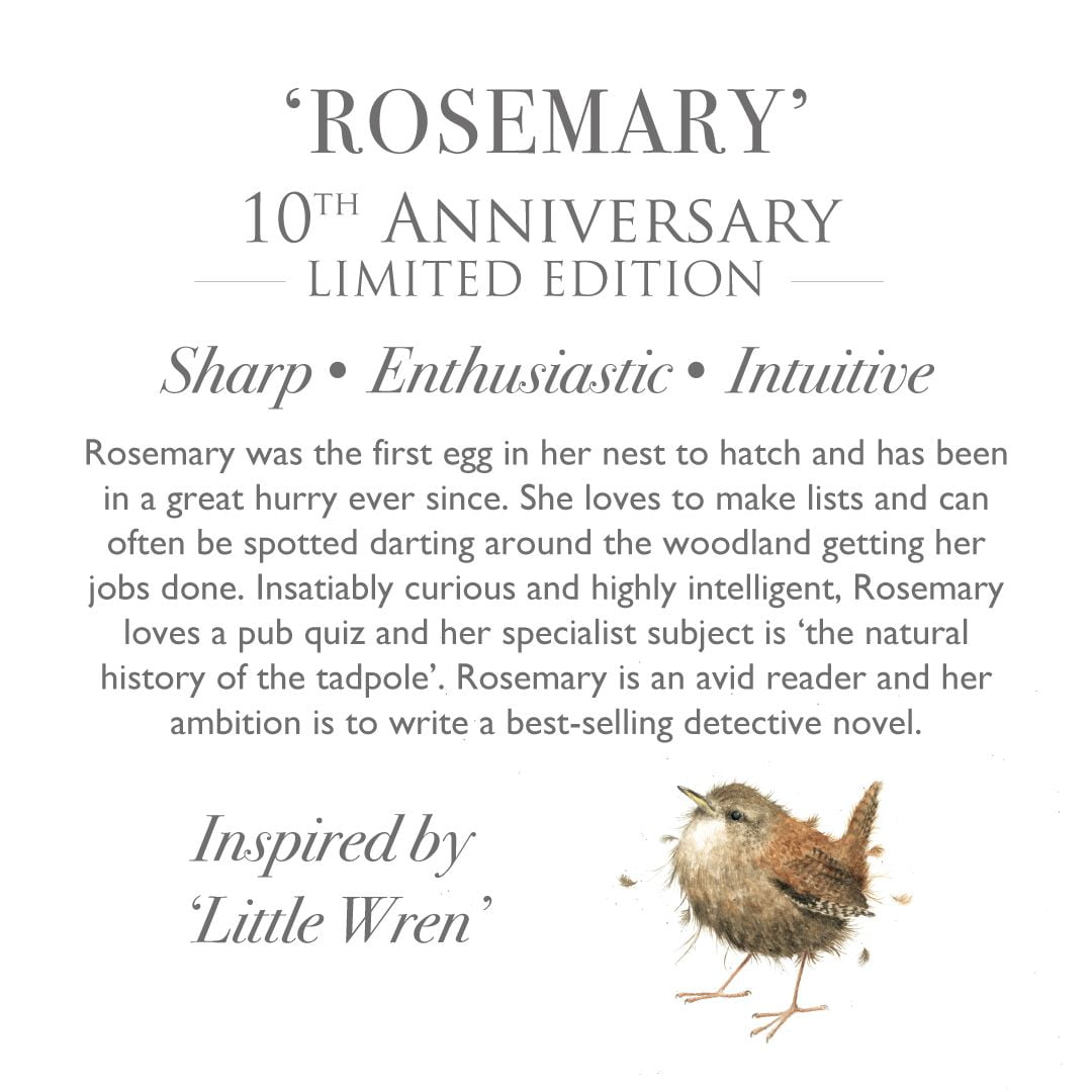 Wrendale Designs Rosemary Wren Limited Edition Plush Character - Image 6