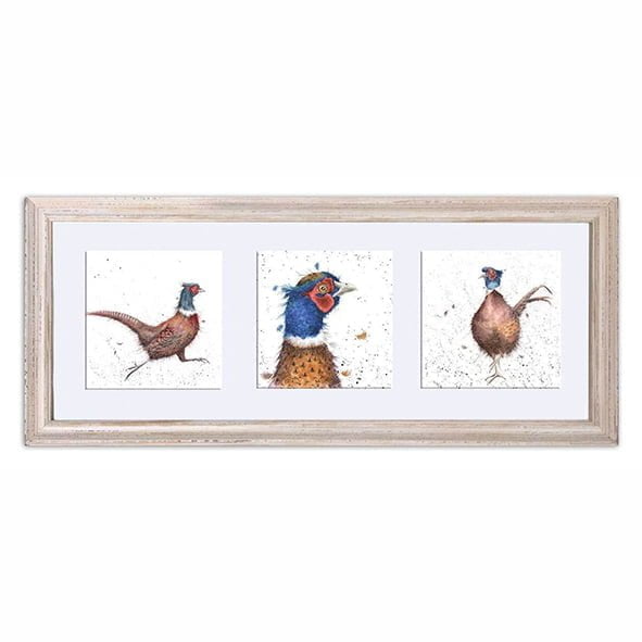 A Trio of Pheasants Triple Framed Print - Wrendale Designs