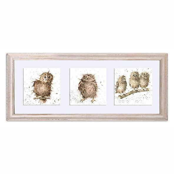 A Trio of Owls Triple Framed Print - Wrendale Designs