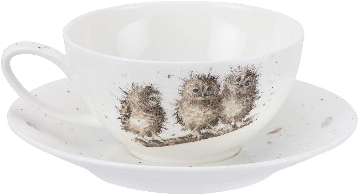 Owls Cappuccino Cup and Saucer - Wrendale Designs