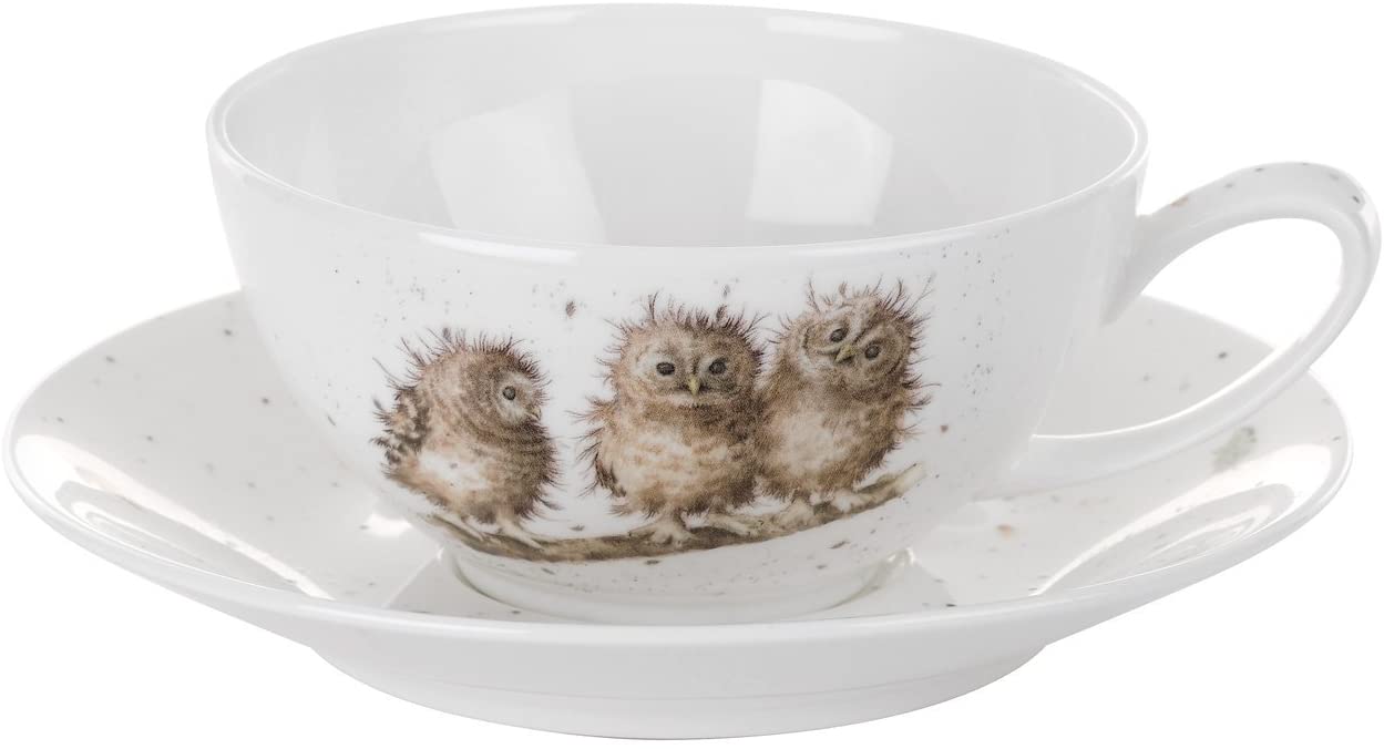 Owls Cappuccino Cup and Saucer - Wrendale Designs - Image 3