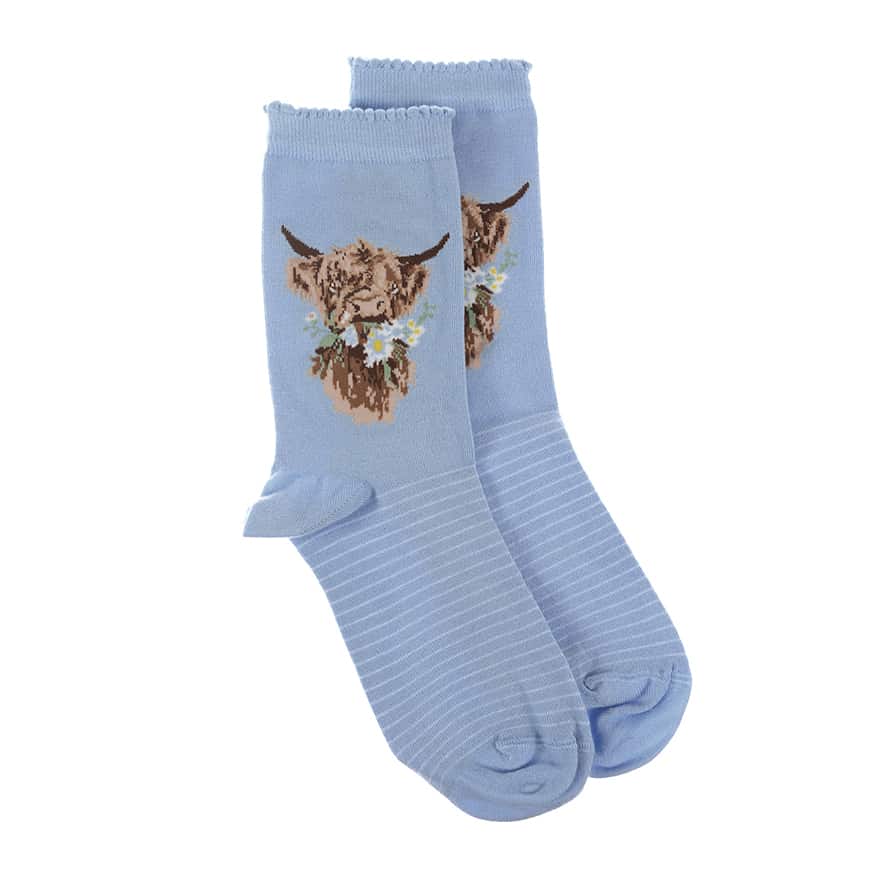 'Daisy Coo’ Blue Highland Cow Socks - Wrendale Designs - Image 4