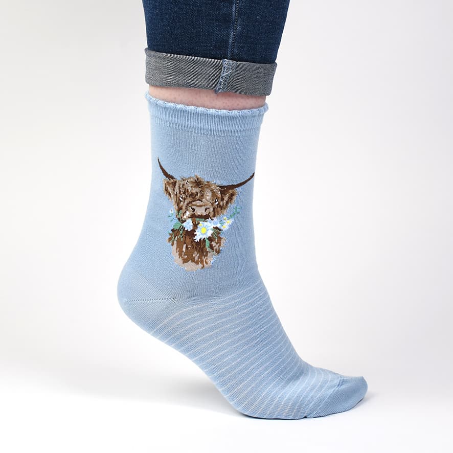 'Daisy Coo’ Blue Highland Cow Socks - Wrendale Designs - Image 2
