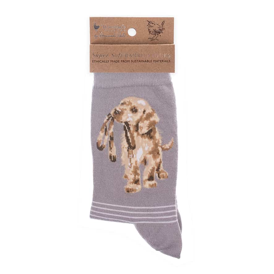 'Hopeful' Grey Dog Socks - Wrendale Designs