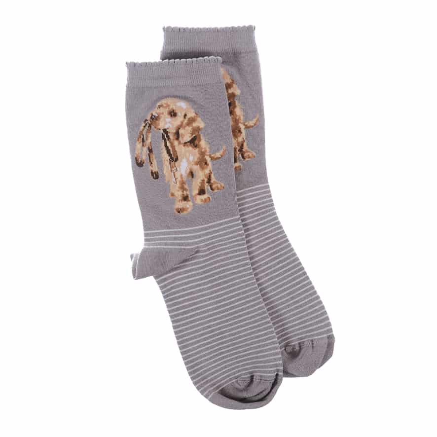 'Hopeful' Grey Dog Socks - Wrendale Designs - Image 4