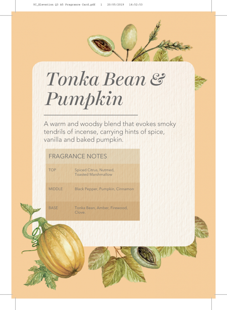 Yankee Candle Elevation collection - Tonka Bean & Pumpkin - Large 2-Wick Square Candle - Image 3
