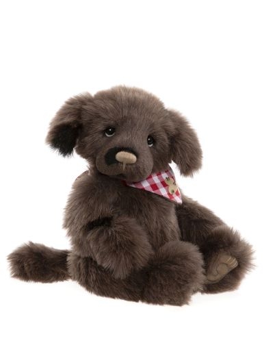 Boomerang Puppy Dog, 37cm – Charlie Bears CB222257B